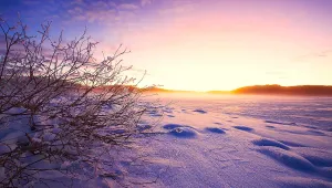 Топла декемврийска неделя с температури до 6°-11°