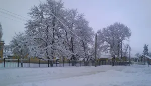 Облачно време и температури над нулата 