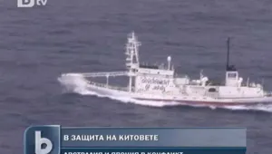 Китоловна война във водите около Антарктида