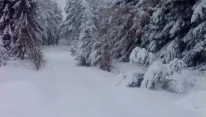 Блокирани в хижа Върховръх в Родопите са само хижарите (ОБНОВЕНА)