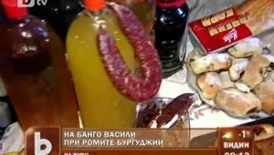 Василица е