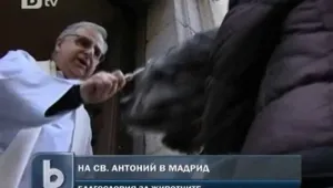 Църквите в Испания се препълниха с животни