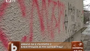 Как се става виновен за цикламена 