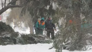 Люта зима връхлетя България