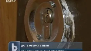 Те са ловки, бързи, сръчни – домовите крадци