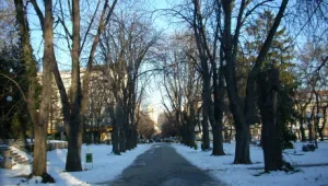 Лютата зима продължава с пълна сила