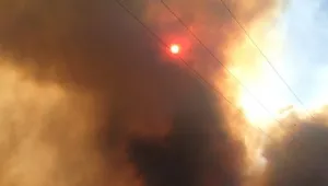 Почти всички големи пожари в Тасмания са под контрол