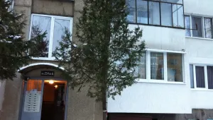 Петчленно семейство намерено мъртво в София