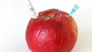 Има ли ГМО в детските храни