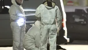 Австриец от босненски произход и германец са жертвите на взрива във Виена