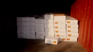 Митничари хванаха 130 кг контрабанден тютюн за наргиле