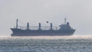 Морето край Варна завря