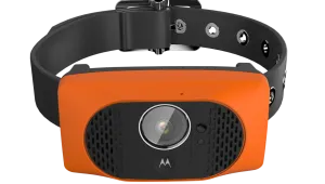 Motorola представя смарт нашийник за кучета