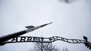 Аушвиц от птичи поглед (ВИДЕО)
