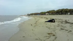 В Турция откриха 36 загинали бежанци, сред които деца и бременна