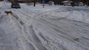 В 64 училища в страната не се учи, в 58 от тях - заради лошото време 