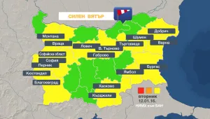 Код жълто за силен вятър