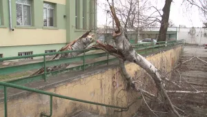Бурният вятър създаде сериозни проблеми във Врачанско