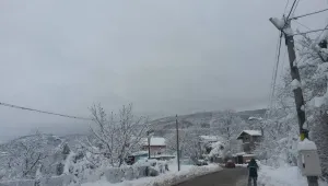 Половината Пловдивска област остана без вода