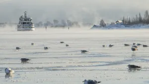 Люта зима обхвана цяла Европа