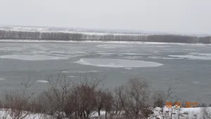 Ледоход се появи по Дунав