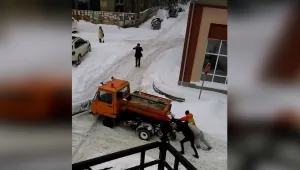 Когато и снегоринът закъса (ВИДЕО)