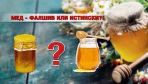 „Чети етикета”: Как да разпознаем истинския мед? 