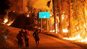 Пожари обхванаха 800 хил. хектара гора в Чили (СНИМКИ и ВИДЕО)