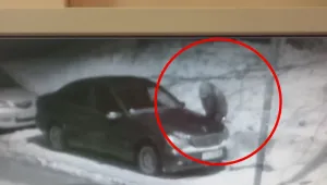 Вандали съсипват колите на цял варненски район
