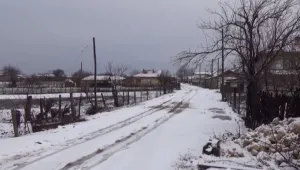 В средата на зимата: Десетки семейства в Дуловско останаха без дърва за огрев 