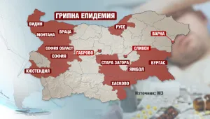Достигнахме пика на грипната епидемия