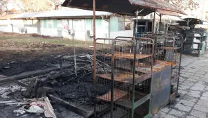 Фойерверки подпалиха пожар в Пловдив 