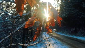 Валежите спират, става по-студено