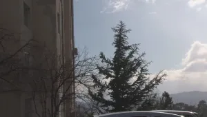Жълт код за силен вятър в по-голямата част от страната 