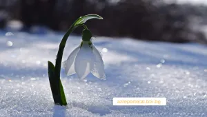 Предстоят валежи