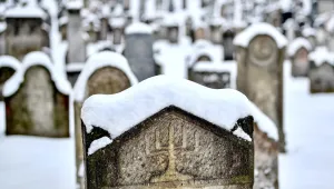 Международен ден в памет на жертвите на Холокоста