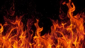 Пожар горя в румънската АЕЦ ”Черна вода” в близост до границата ни 