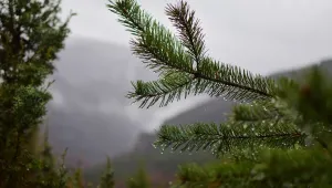 Облачно в събота 
