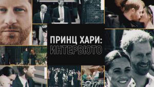 Специално студио 