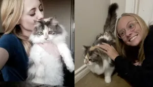 Котка калико се прибира у дома - 7 години след като избягала (ВИДЕО)