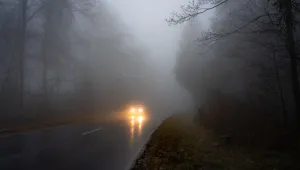 Мъгла в сряда: Максималните температури ще бъдат между 15° и 20°