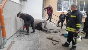 В Бургас спасиха коте, зазидано под блок по време на строителни дейности (ВИДЕО)