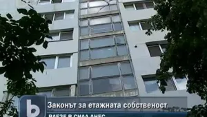 Съкооператори задружно си ремонтират блока  