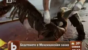 Бедствието в Мексиканския залив парализира живота на местните