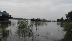 Дунав преля при Никопол 