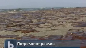Над 3 милиарда долара струва борбата с петролния разлив 