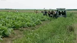 Служителите на 