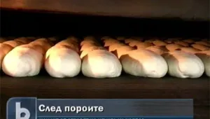 Има опасност за реколтата след падналите дъждове 