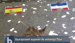 Испанци срещу холандци