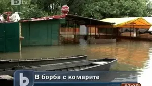 Работна група решава за борбата с комарите по Дунав